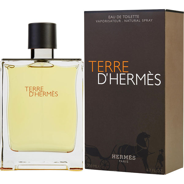 Terre D'hermes   Edt Spray