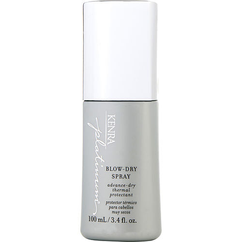 Kenra Platinum Blow Dry Spray 3.4 oz
