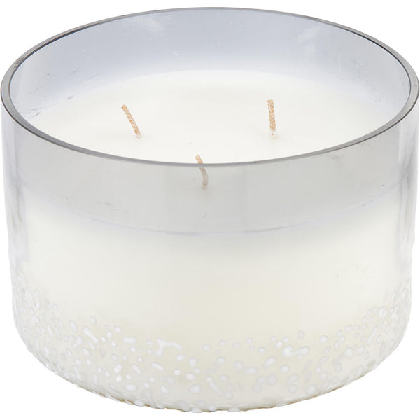 Balsam & Birch Scented   Vale Soy Wax Blend Candle   28 Oz. Burns Approx.