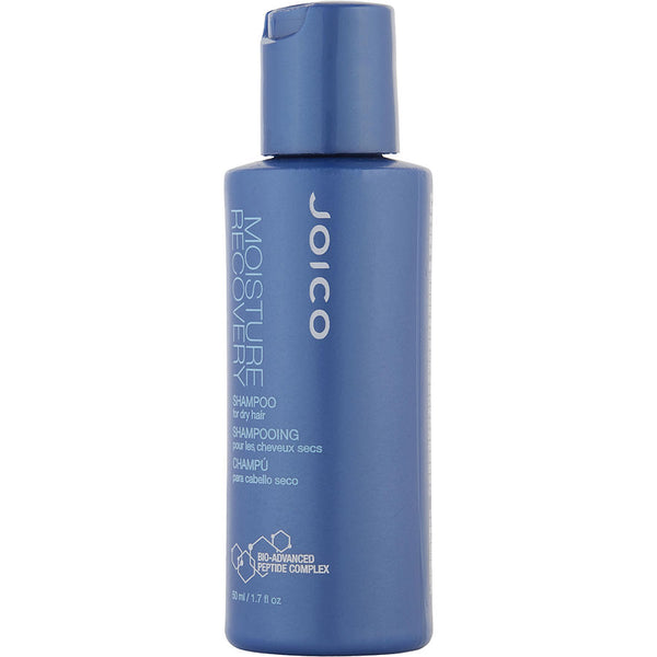 Joico   Moisture Recovery Shampoo For Dry Hair