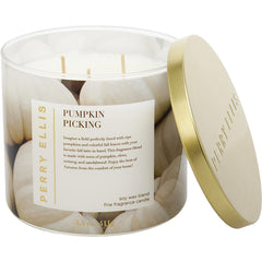 Perry Ellis Pumpkin Picking - Candle