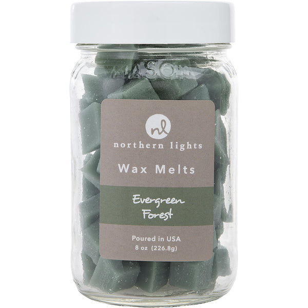 Evergreen Forest Wax Melts Pouch