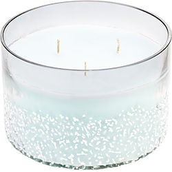 WOODLAND BLUEBELL SCENTED by    VALE SOY WAX BLEND CANDLE   28 OZ. BURNS APPROX.